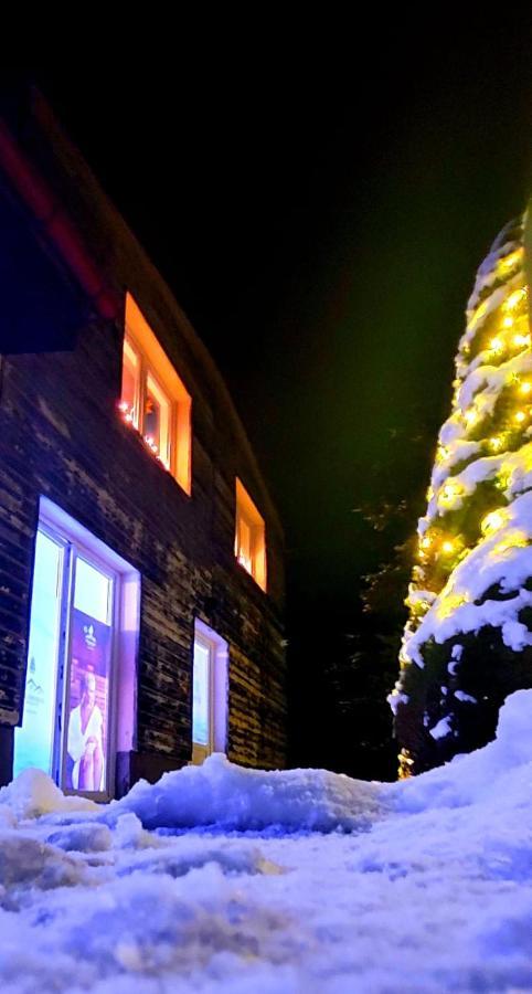 Apartmán Waldhaus Jachymov