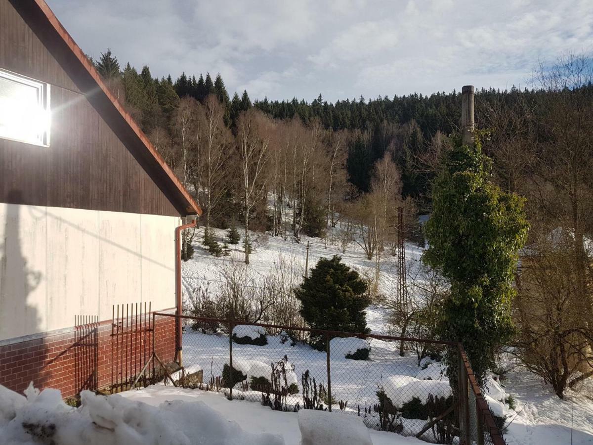 Apartmán Waldhaus Jachymov