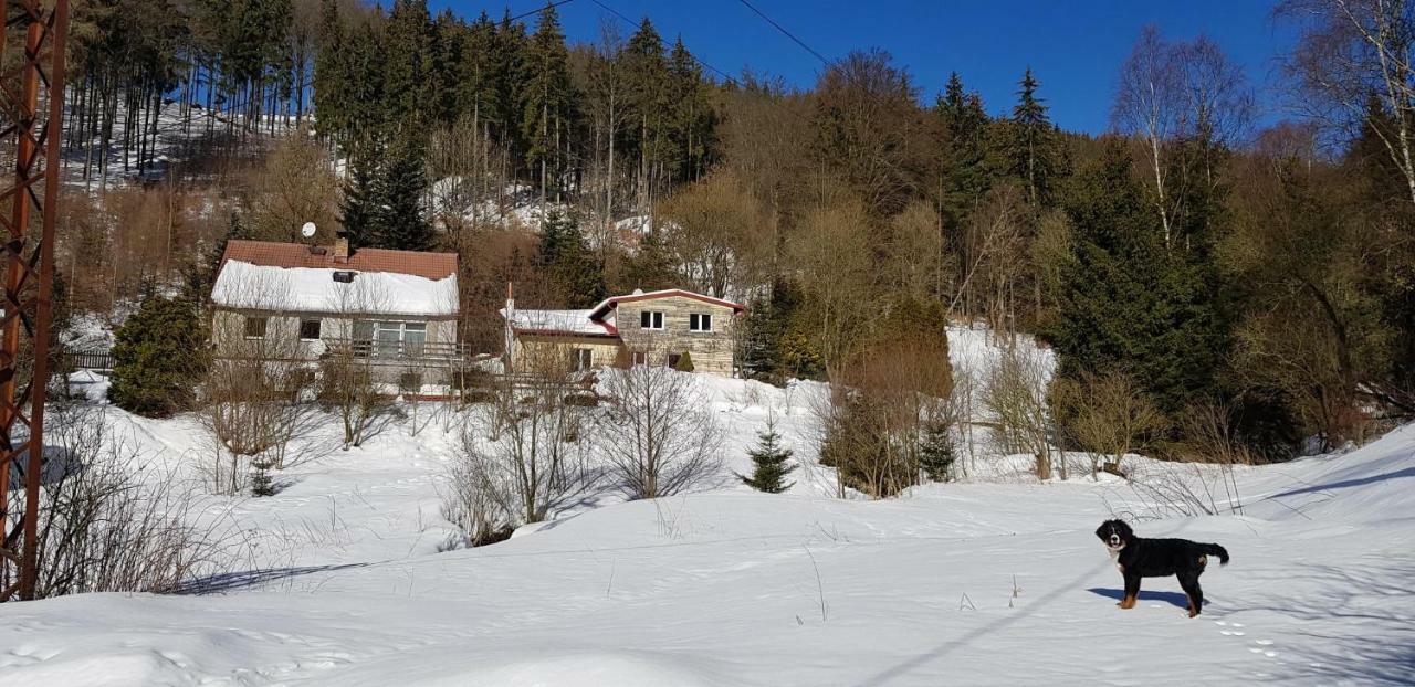 Waldhaus Apartmán *